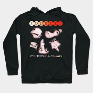 Band And Albums Hoodie